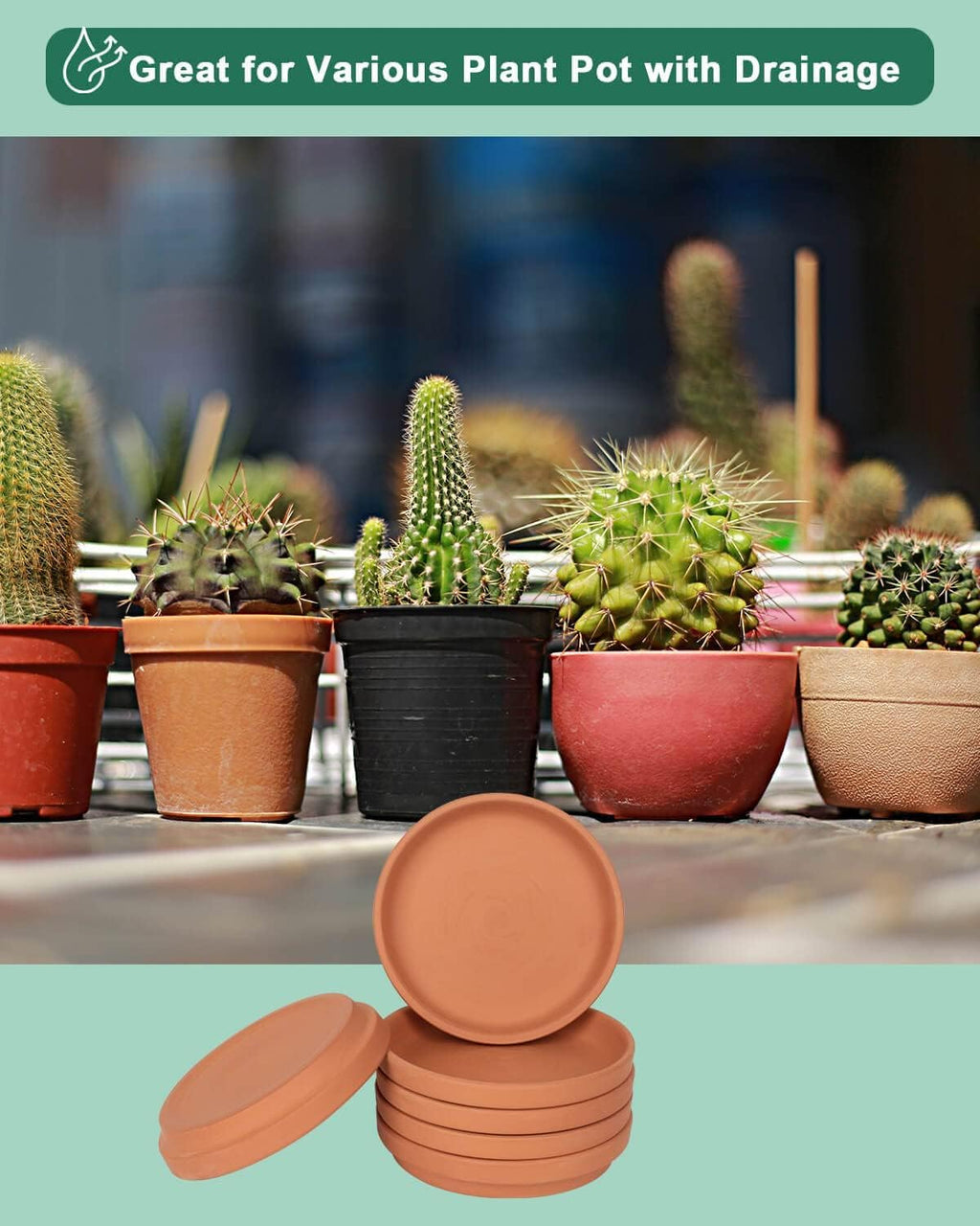 vensovo 6 Inch Terracotta Plant Saucer Pots Tray - 6 Pcs Round Planter Saucers for Indoor & Outdoor Plants, Small Clay Trays Perfect for 5 Inch 5.5 Inch 6 Inch Flower Pot