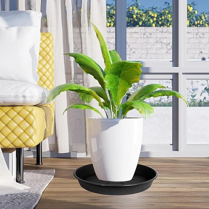 1 Pack of Plant Saucer Tray 8 inch, Heavy Duty Plastic Pot Plant Drip Trays Saucers for for Indoors Outdoor, Plant Water Tray for Planters (8", Black)