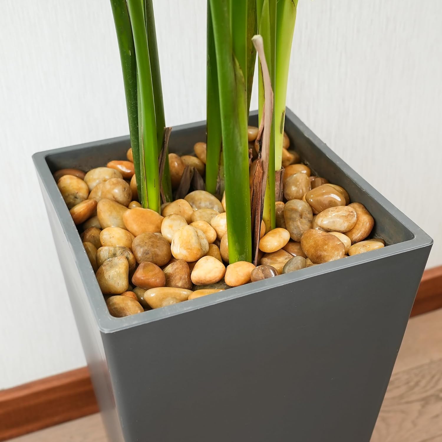 12 LBS River Rocks, StoneCreek, Decorative Garden Stones for Plant Landscaping, Polished Gravel Filler Pebbles for Home Decoration, Vases, Succulents, Flower Beds and Fish Tanks (Pale Yellow, Medium)