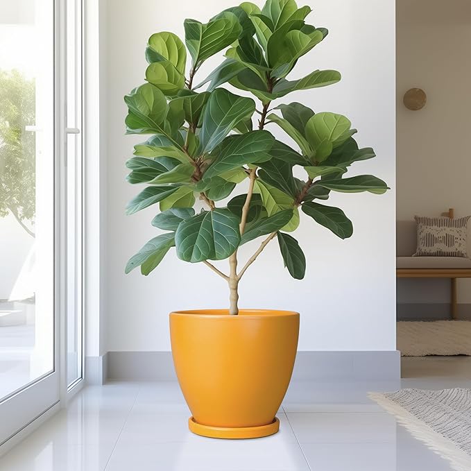 10 Inch Plant Pot - Ceramic Planter with Drainage Hole and Saucer, Modern Flower Pot, Round Planters for Indoor Plants, Home Patio Bathroom Porch Garden Living Room Decor, Orange