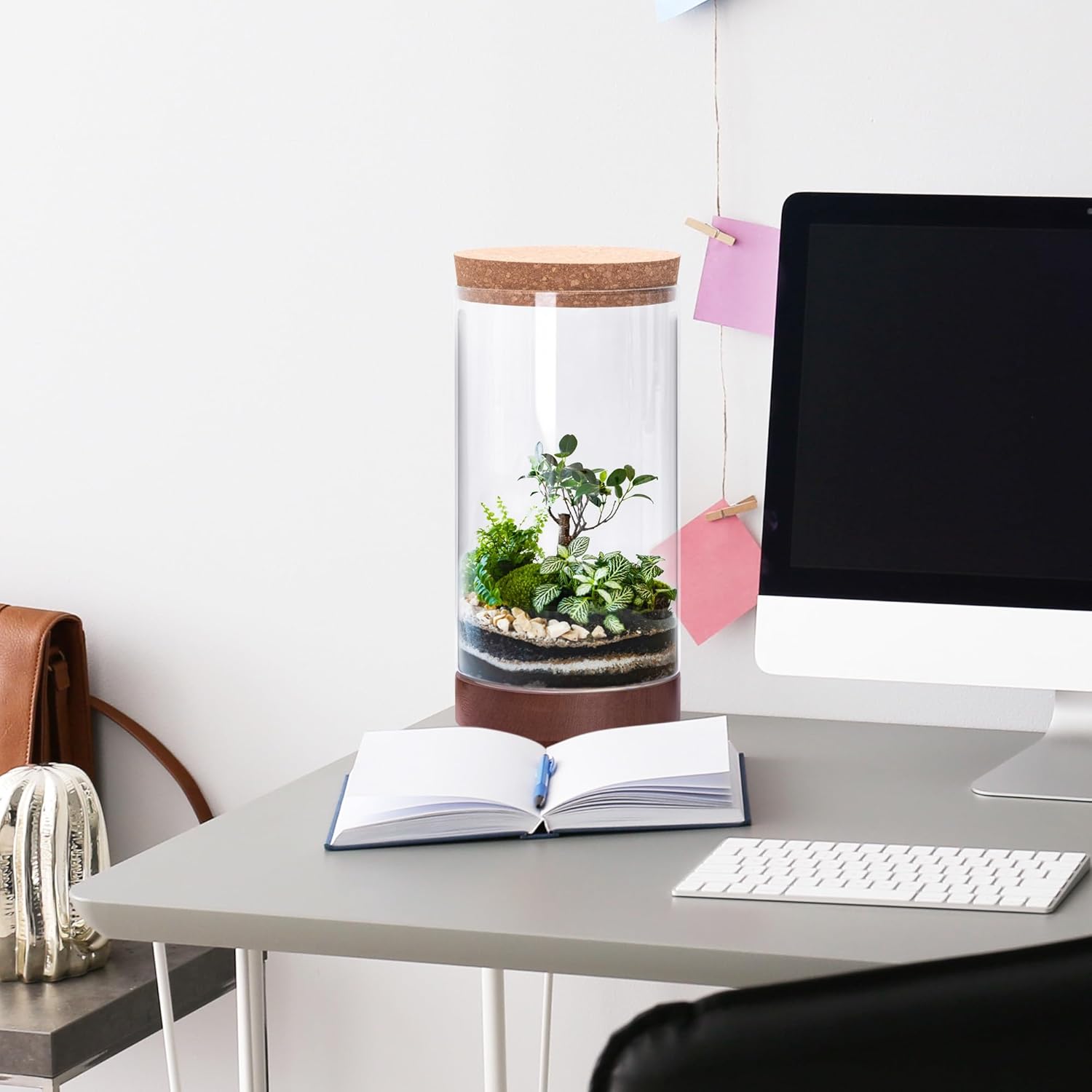 Clear Glass Houseplant Terrarium Planter, 6" W x 12" H, Cylindrical Terrarium with Wooden Base & Cork Lid | Versatile Tabletop Decoration for Home or Office or Hydroponics (Plant Not Included), 41-A-L