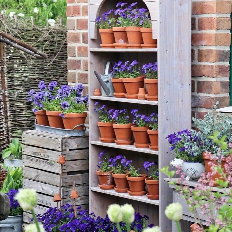 Fcacti 10 inch Large Terra Cotta Plant Saucers, Round Pot Drip Trays,Durable Thicker Clay Plant Tray Flower Pot Saucers for Outdoors Indoors Flower Pots and Planters,Pack of 3