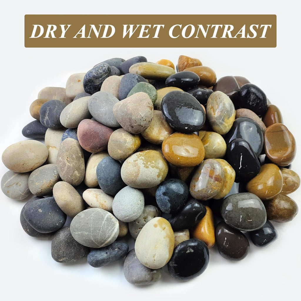 10 lbs River Rocks, 2-3 Inch Natural Pebbles for Plants, Landscaping, Garden, Aquarium, Backyard and Indoor Water Fountains