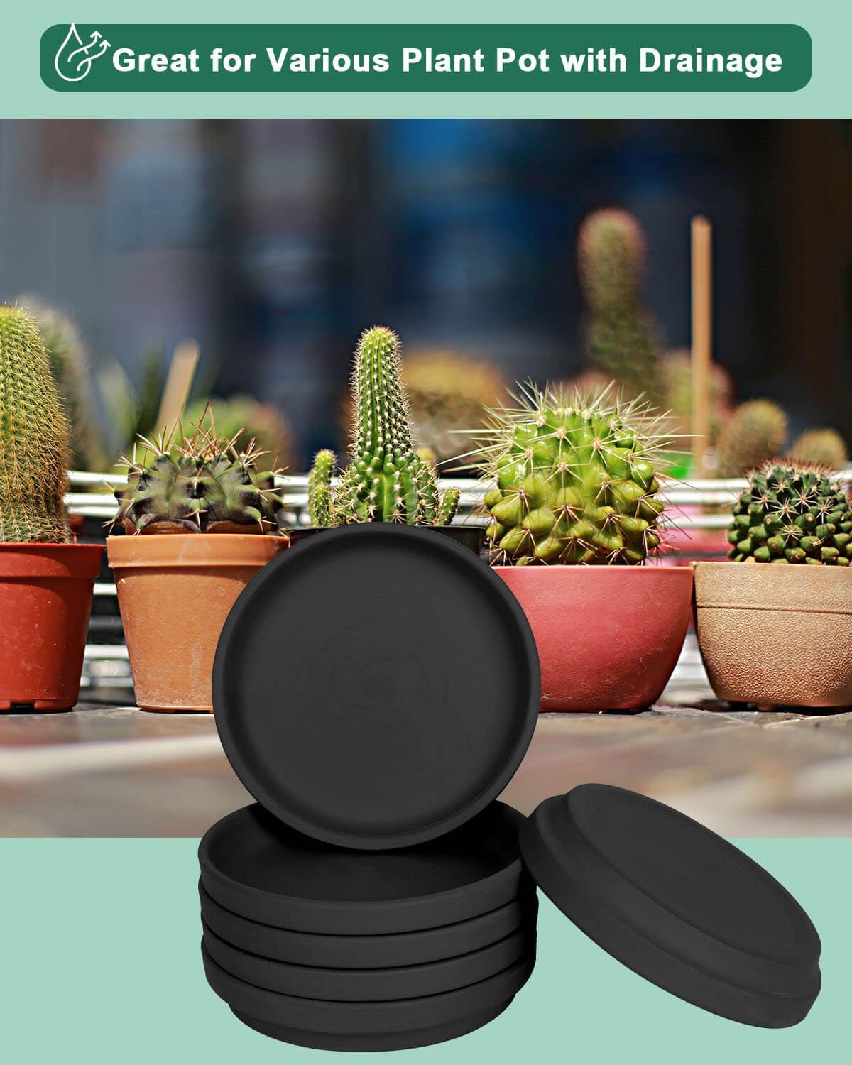 vensovo 6 Inch Black Terracotta Plant Saucer Pots Tray - 6 Pcs Round Planter Saucers for Indoor & Outdoor Plants, Small Clay Trays Perfect for 5 Inch 5.5 Inch 6 Inch Flower Pot