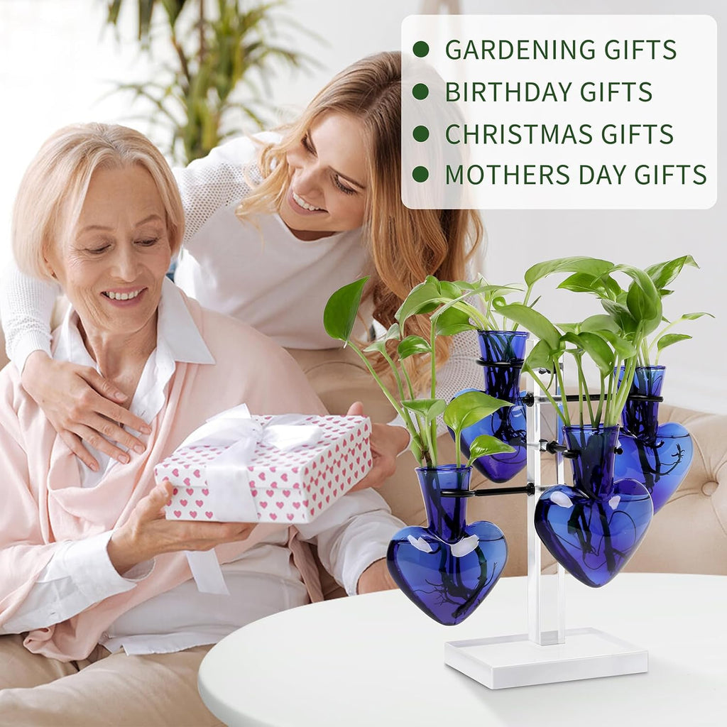 Clear Plants Propagation Stations Terrarium Kit Birthday Gift for Women for Indoor Home Office Decor Acrylic Plant Accessories - 4 Love Hear Vase