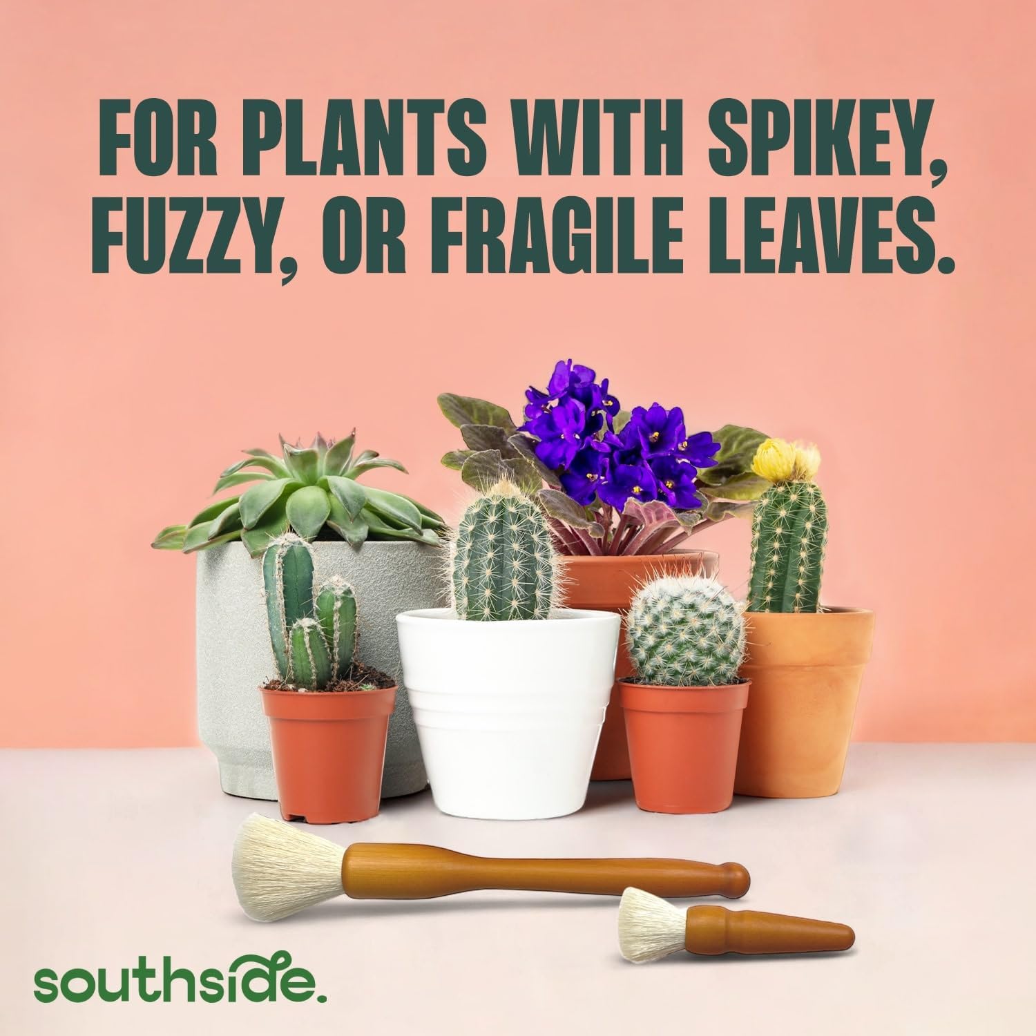 Southside Plant Cactus & Succulent Plants Cleaning Brushes - Wooden Handles w/Soft Goat Hair Bristles - Garden Cleaning Tools, Gentle on Plants, 7" & 3.2" Sizes - Pack of 2