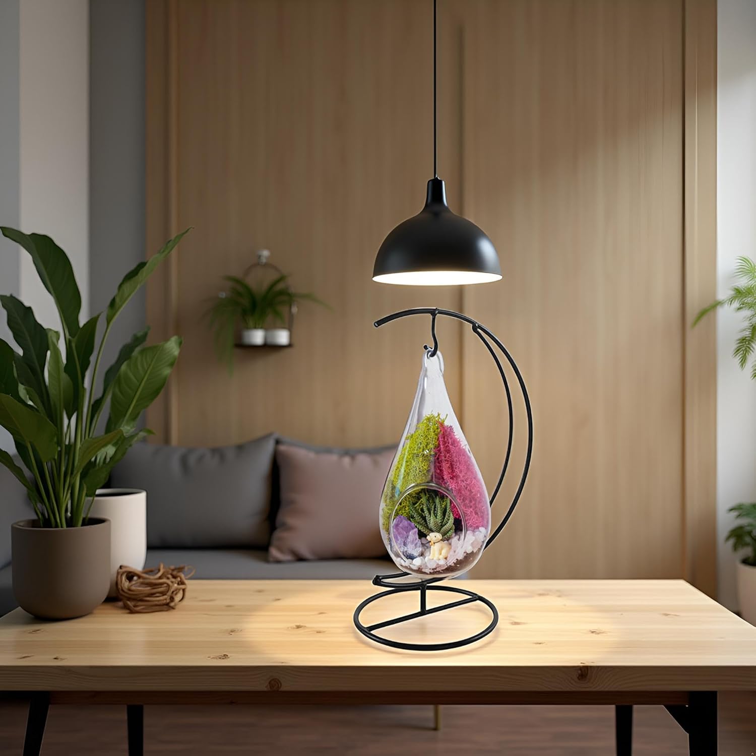 Plant Terrarium Kit W/Live Succulent (Fresh from Florida), Choose Your Glass DIY Terrarium Starter Kit for Adults, Metal Stand, Reindeer Moss, Crystal & Rocks, Tools, Figurine