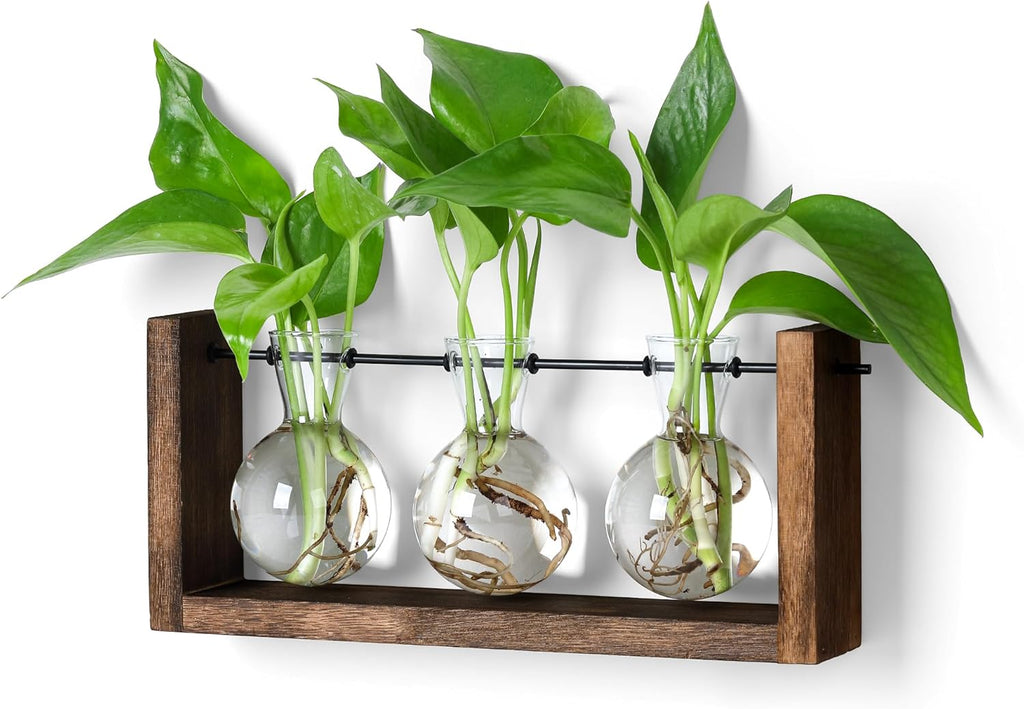 YIBOT Plants Propagation Stations,Plant Terrarium with Wooden Stand Wall Hanging Glass Planter Plant Propagation Vase for Indoor Office Home Garden Decor Plant Lover Gifts for Women