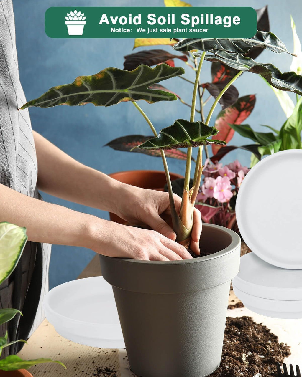 vensovo 8 Inch White Terracotta Plant Saucer Pots Tray - 4 Pcs Round Planter Saucers for Indoor & Outdoor Plants, Large Clay Trays Perfect for 7 Inch 7.5 Inch 8 Inch Flower Pot