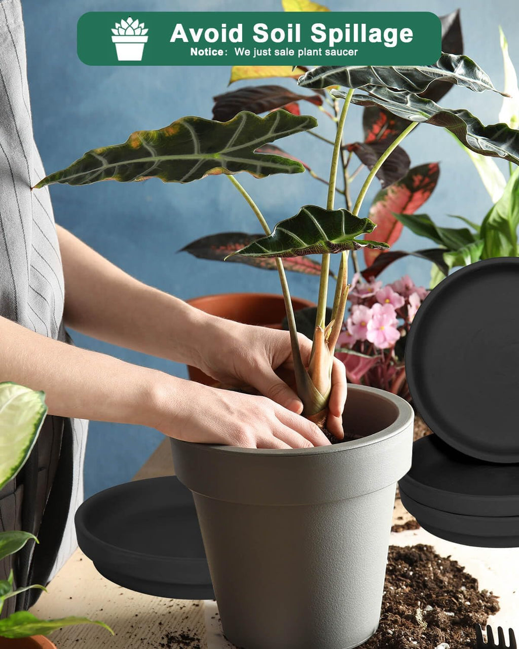 vensovo 8 Inch Black Terracotta Plant Saucer Pots Tray - 4 Pcs Round Planter Saucers for Indoor & Outdoor Plants, Large Clay Trays Perfect for 7 Inch 7.5 Inch 8 Inch Flower Pot