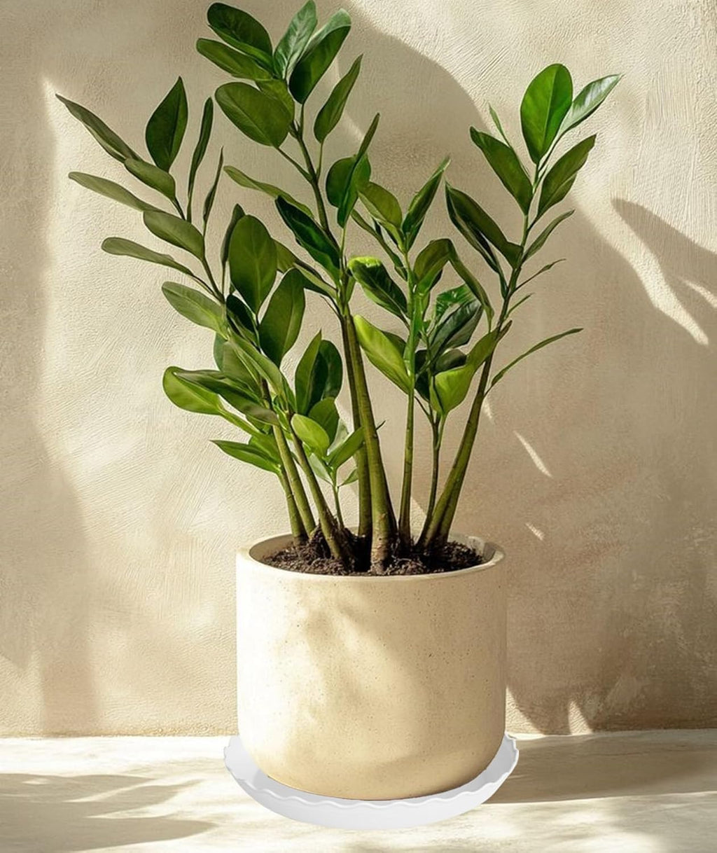 6 Pack Plant Saucer, 6 8 10 12 14 16 inch Plant Trays for Pots, Heavy Duty Plant Saucer for Indoors no Holes, Plastic Plant Saucer for Planter (6", White)