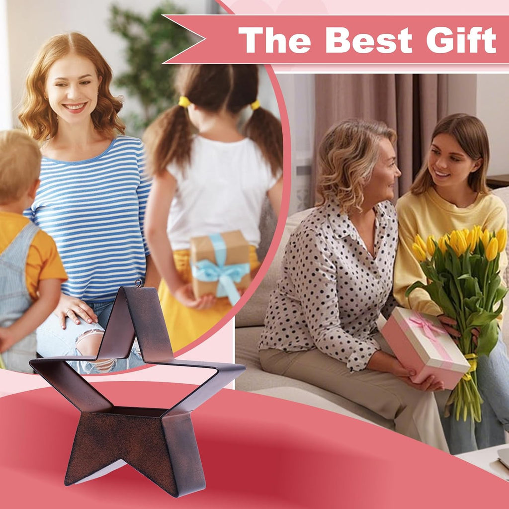 Metal Hanging Planters for Indoor & Outdoor Plants - Star Shaped Planters for Wall or Window,Garden Patio or Indoor Decor for Women(Cooper)