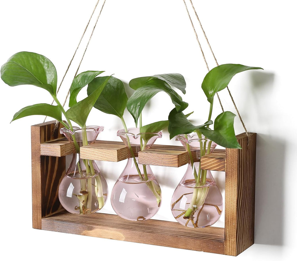 Plant Propagation Station Plant Terrarium Unique Birthday Gifts for Women Home Office Decor Planter with Wooden Stand - 3 Bulb Glass Vase