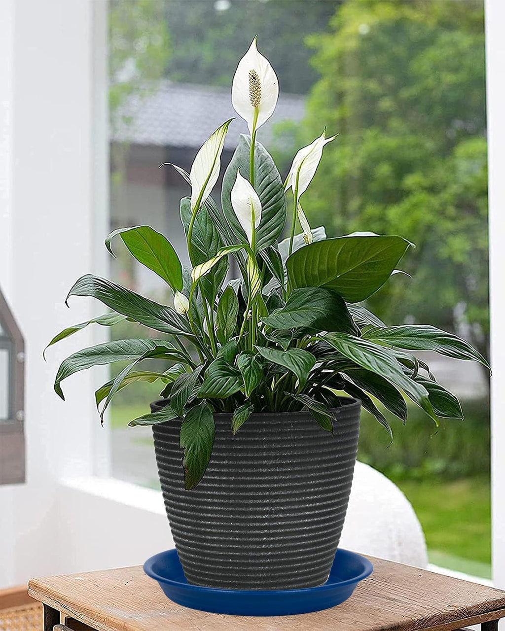 Plant Saucer Pot Tray 10 inch, 2 Packs Plant Drainage Trays, Plastic Flower Planter Saucers and Drip Trays for Indoors, Heavy Durable Plant Plate Water Catcher (Blue)