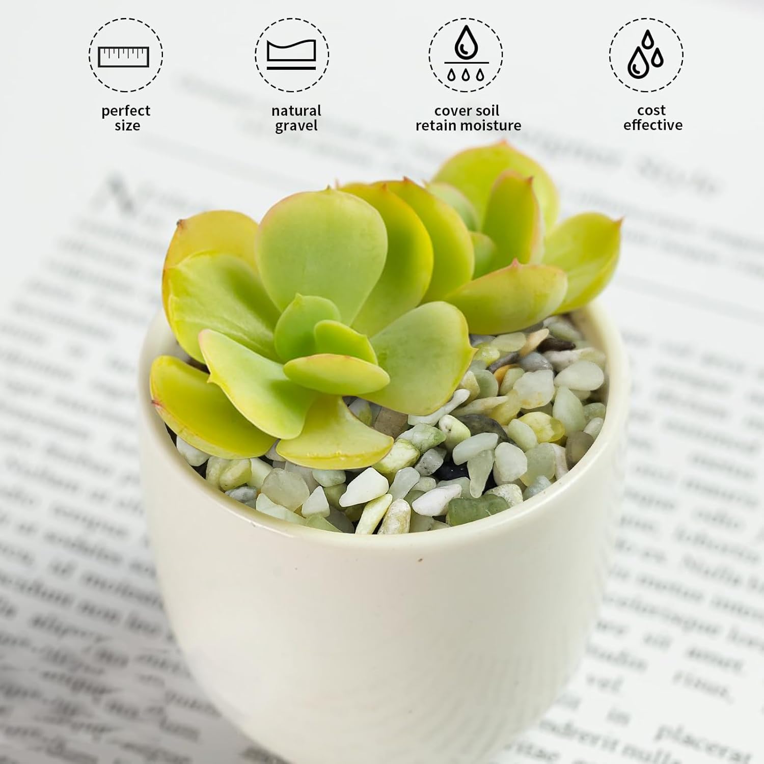 10 lbs Pebbles for Landscaping,1/4 Inch Polished Green Pea Gravel Small Rocks for Plants, Succulents, Cactus, Vases, Terrarium and Outdoor Gardening