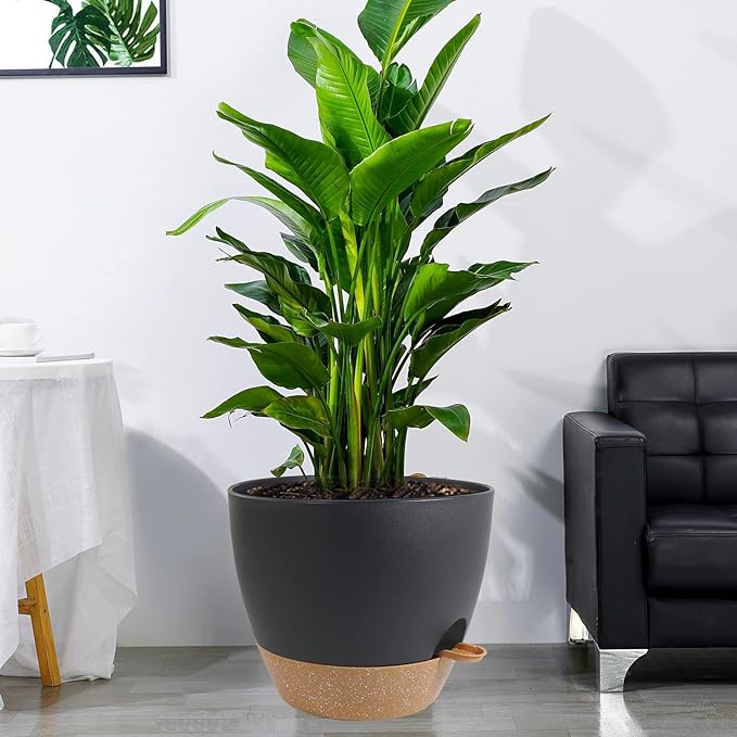 12 inch Large Self Watering Pots, Plastic Planters with 60oZ Removable Deep Reservoir and Multi Mesh Drainage Holes for Indoor Outdoor Garden Plants and Flowers, Black with Brown