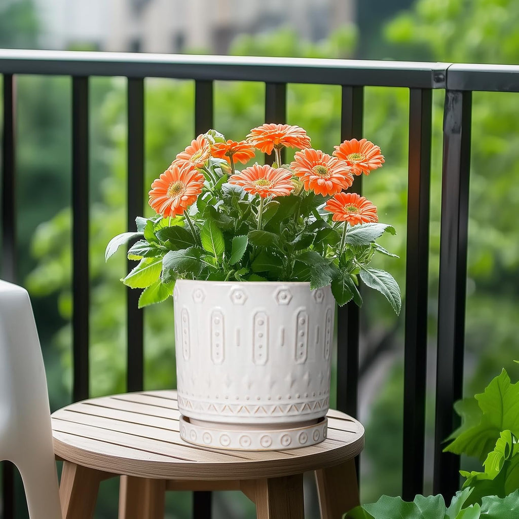 Plant Tray for Pots - Ceramic Plant Saucer for Indoors Outdoors 7.5 Inch Plant Water Catcher Tray Plant Drainage Dray Decorative Flower Pot Saucer Plant Plates to Catch Water White