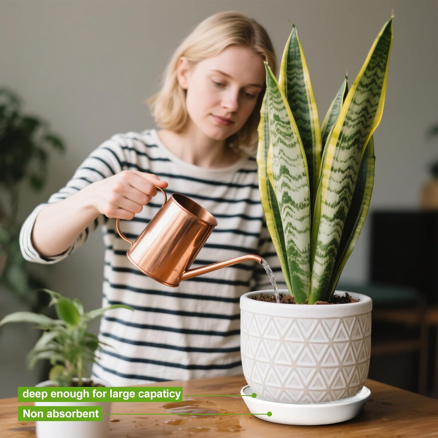 Plant Saucers 12 Inch (12.7 Inch) Plant Trays, Durable Round Glazed Ceramic Flower Plant Water Drip Tray for Pots Planter