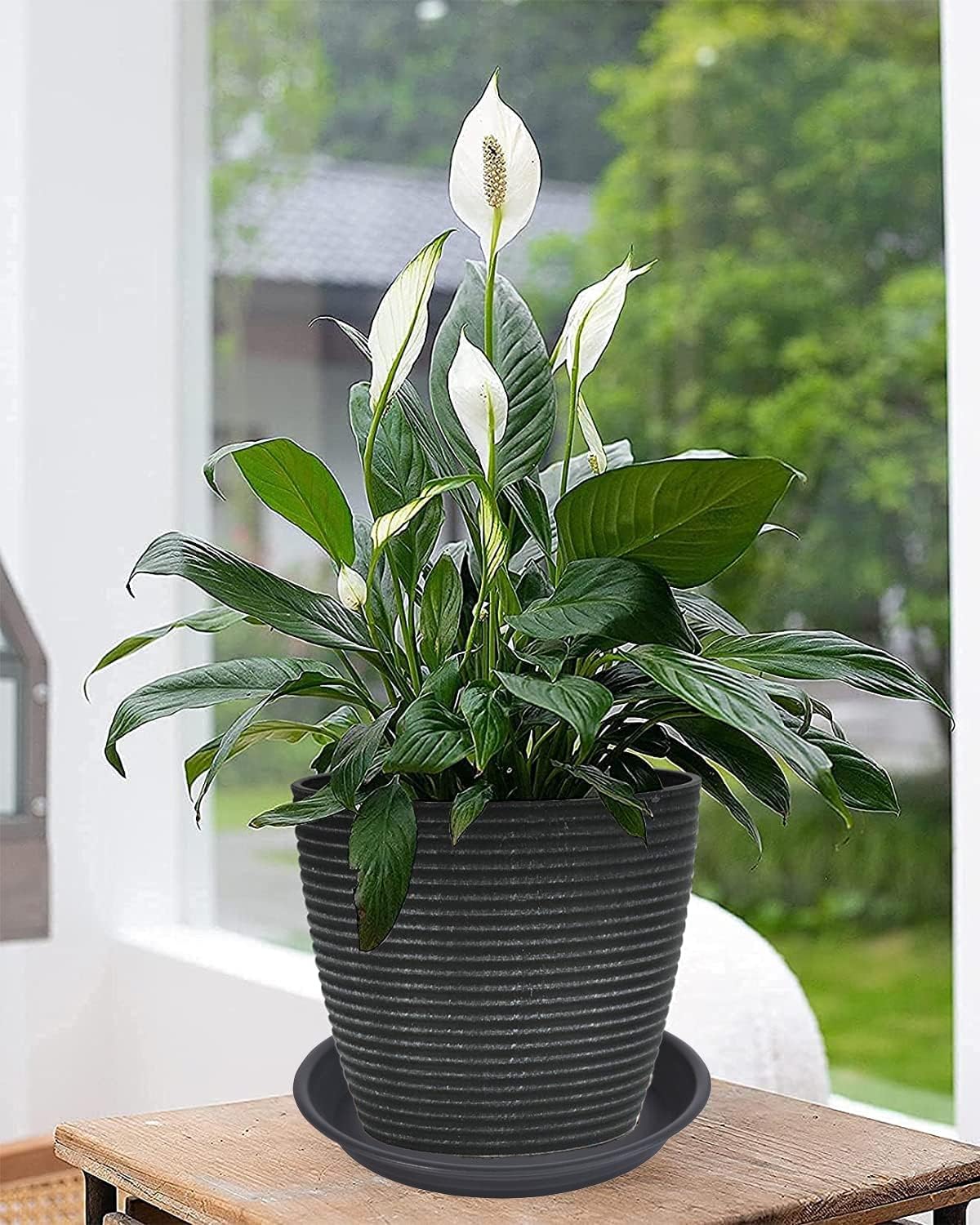 6 Pack Plant Saucer Drip Tray 7 8 inch, Plastic Flower Planter Saucers and Drip Trays for Indoors Outdoors, Heavy Durable Plant Plate Water Catcher, Plant Water Drip Trays for Pots (8", Black)