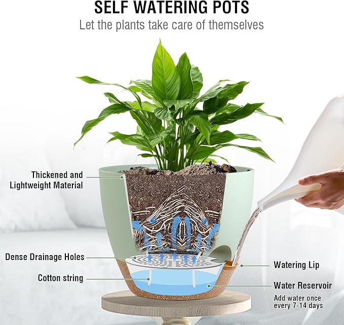 10 inch Self Watering Hanging Planters for Indoor Plants, 2 Pack Hanging Baskets for Outdoor Plants, Hanging Flower Pots with Drainage Holes & 2 Kinds of Plant Hangers for Home Decor, Green