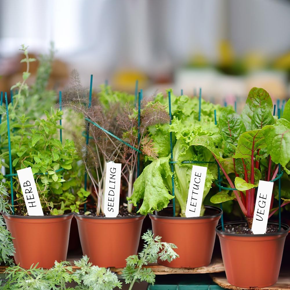 100 Pcs Plant Nursery Pots, 4 Inch Small Plant Seedling Pots with Labels Plastic Plant Flower Pots with Drainage Holes Indoor Outdoor for Succulent Cutting Transplanting