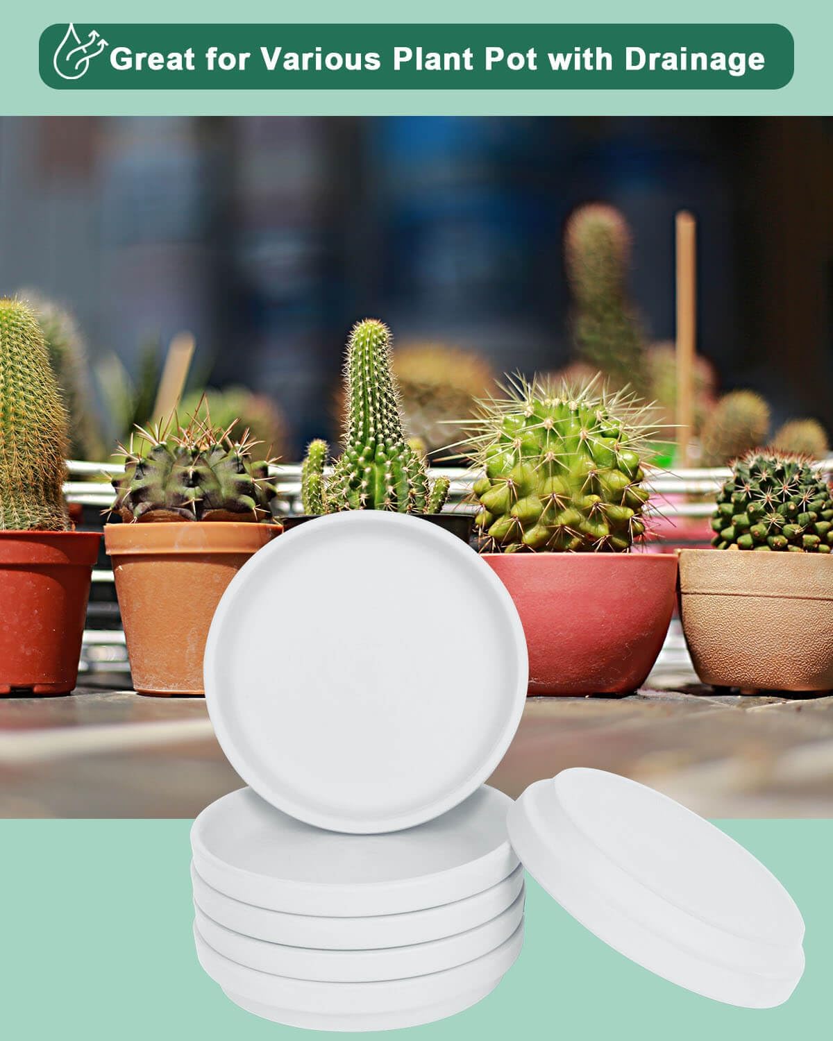 vensovo 6 Inch White Terracotta Plant Saucer Pots Tray - 6 Pcs Round Planter Saucers for Indoor & Outdoor Plants, Small Clay Trays Perfect for 5 Inch 5.5 Inch 6 Inch Flower Pot