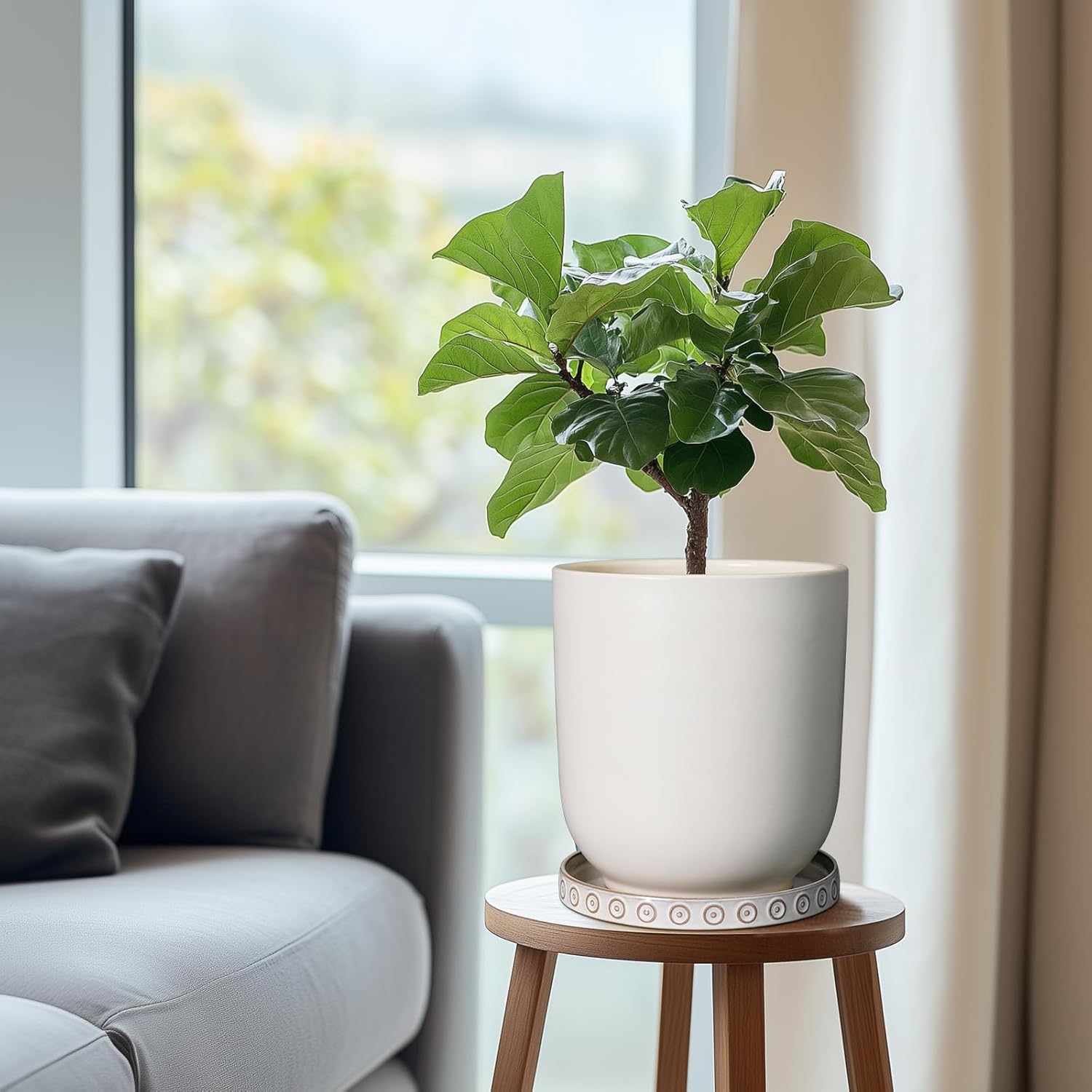 Plant Tray for Pots - Ceramic Plant Saucer for Indoors Outdoors 7.5 Inch Plant Water Catcher Tray Plant Drainage Dray Decorative Flower Pot Saucer Plant Plates to Catch Water White