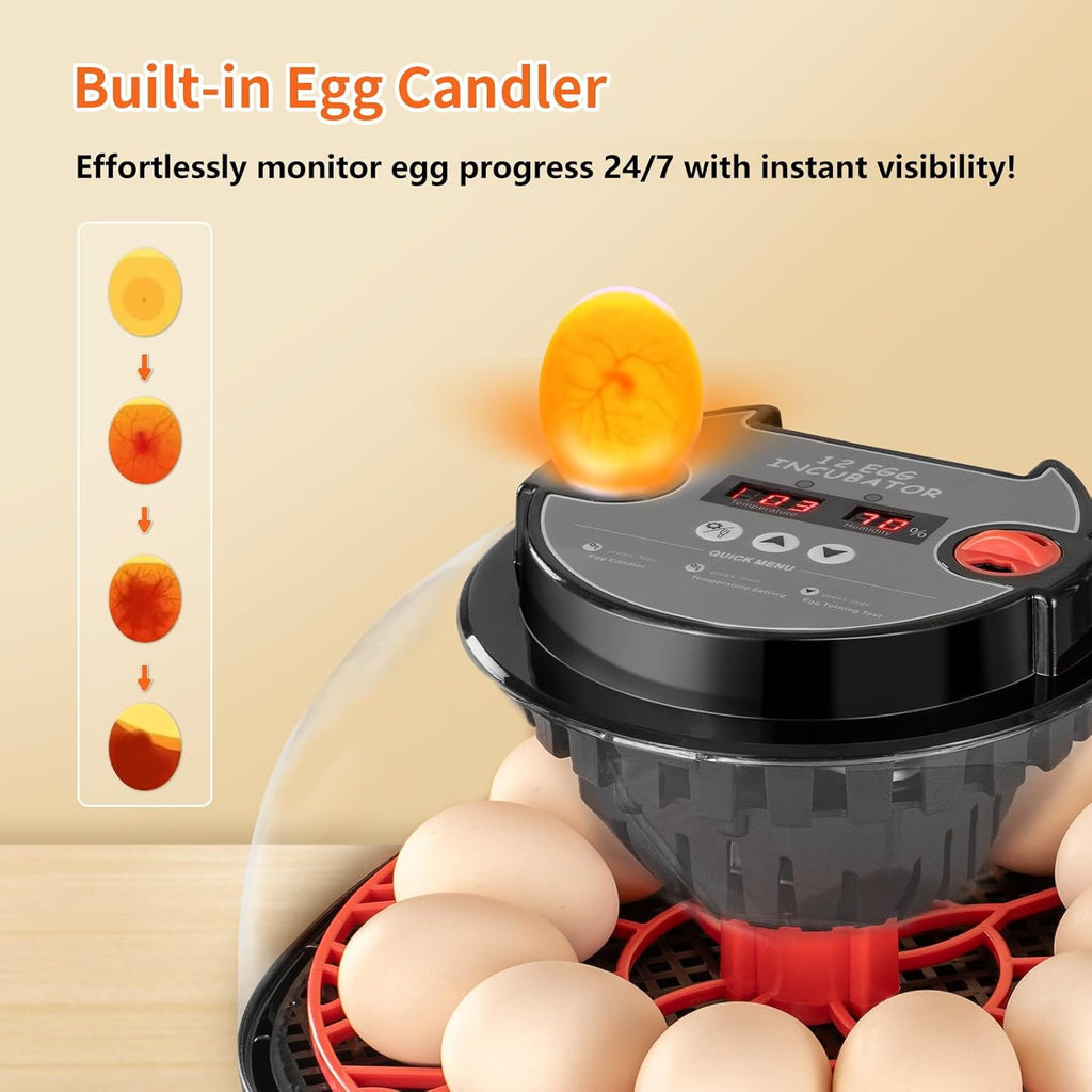 Incubators for Hatching Eggs, 12 Egg Incubator with Automatic Egg Turning and Humidity Control, Water Refill, Air Vent, 360° Viewing for Chickens Ducks Birds, Ideal for Farm, Classroom, Lab, Home Use