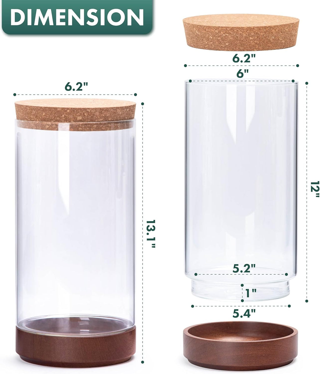 Clear Glass Houseplant Terrarium Planter, 6" W x 12" H, Cylindrical Terrarium with Wooden Base & Cork Lid | Versatile Tabletop Decoration for Home or Office or Hydroponics (Plant Not Included), 41-A-L
