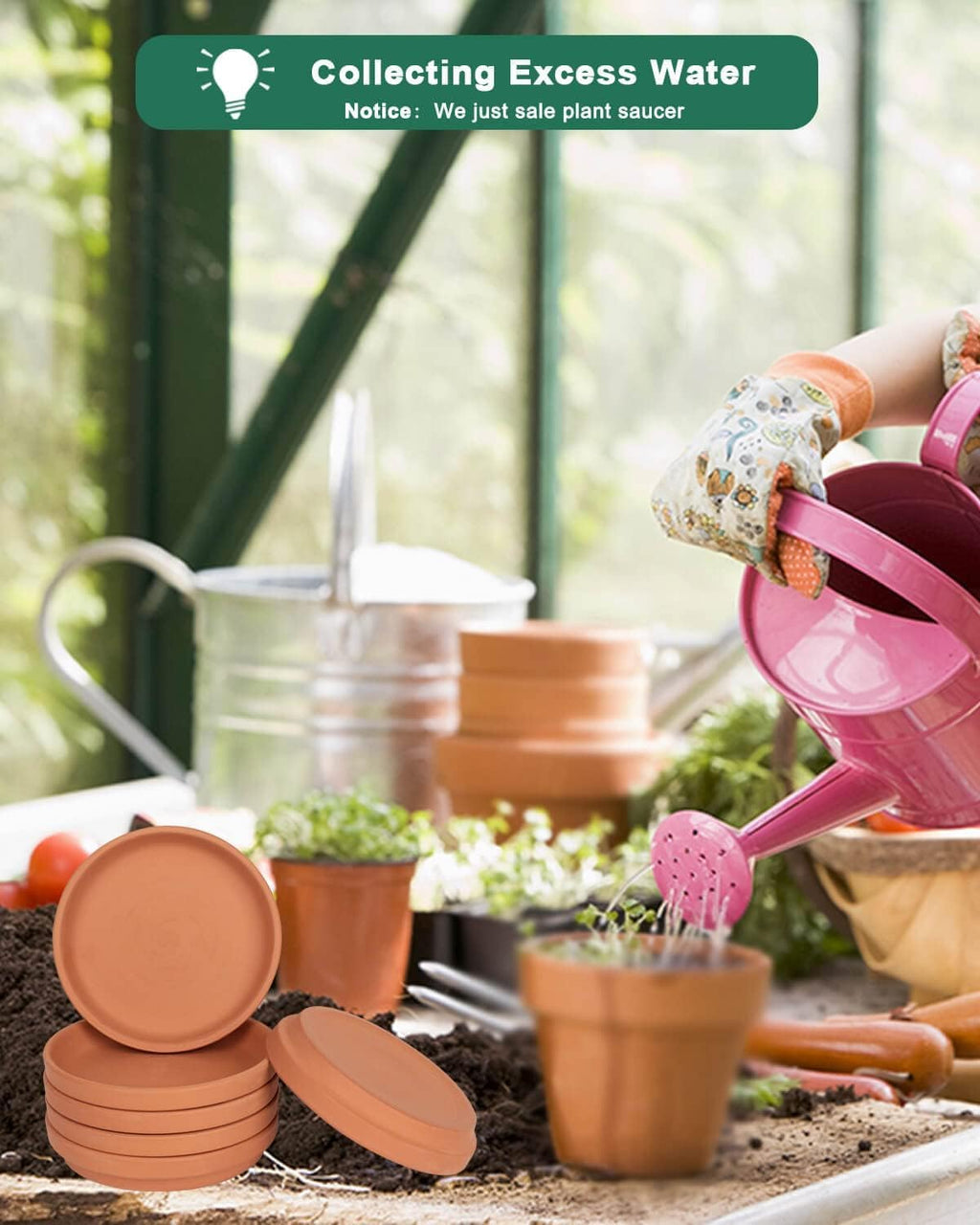 vensovo 6 Inch Terracotta Plant Saucer Pots Tray - 6 Pcs Round Planter Saucers for Indoor & Outdoor Plants, Small Clay Trays Perfect for 5 Inch 5.5 Inch 6 Inch Flower Pot