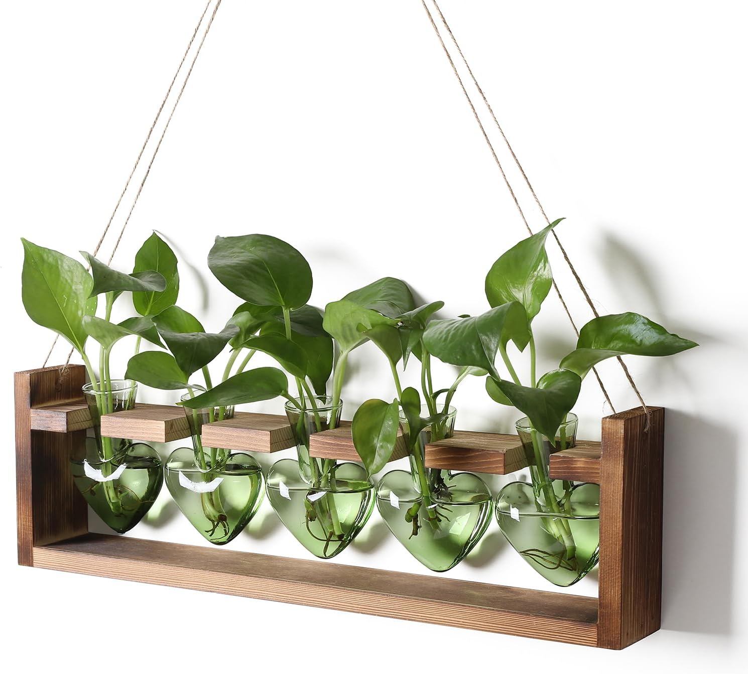 Plant Terrarium Hanging Propagation Stations Gift for Women Air Plants Holder with Wooden Stand Heart Glass