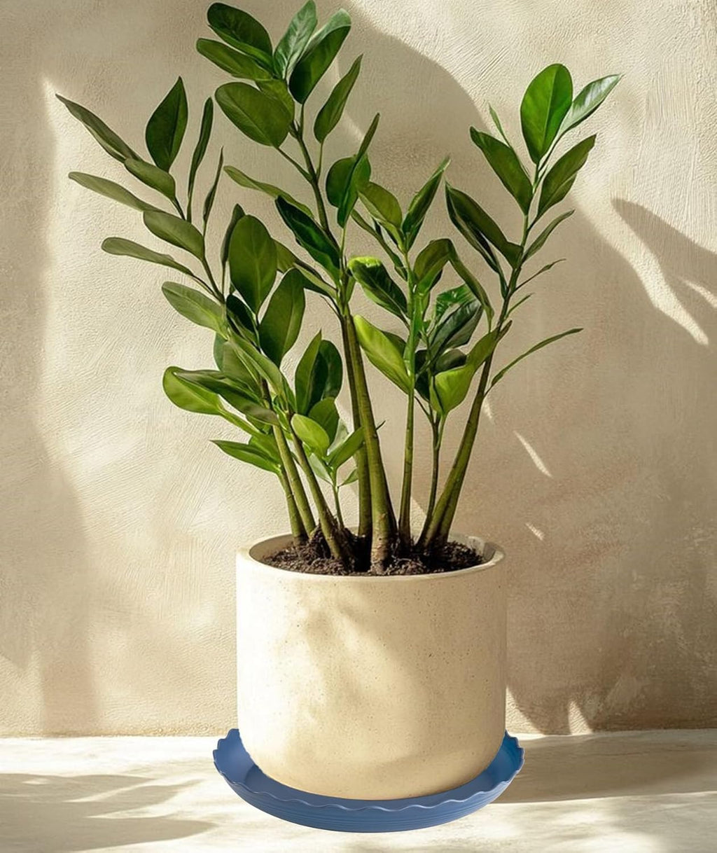 6 Pack Plant Saucer 10 inch, Heavy Duty Plastic Plant Saucers, Durable Plant Tray for Pots, Flower Saucers for Indoors, Plant Pot Saucers, Trays for Planter (Blue)