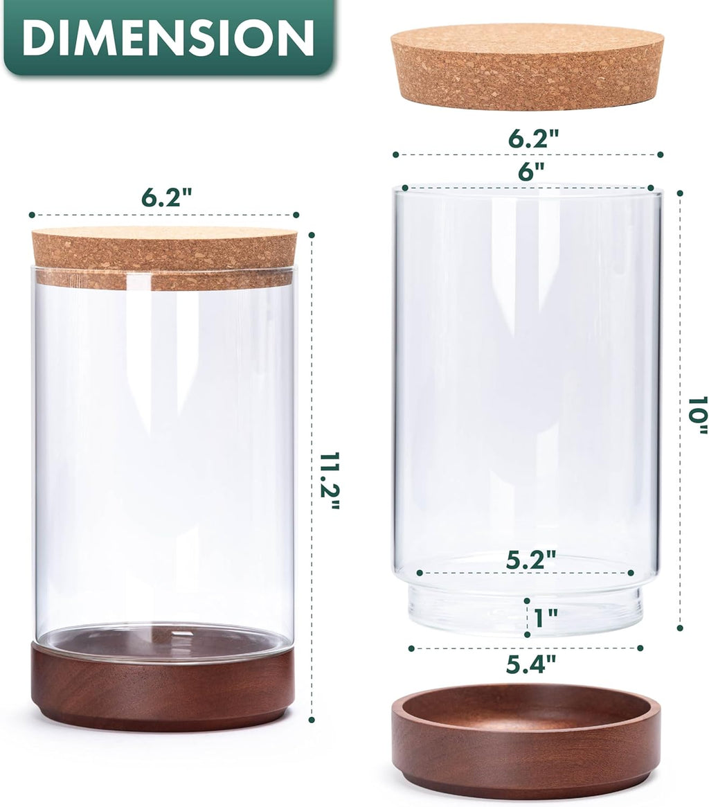 Clear Glass Houseplant Terrarium Planter, 6" W x 10" H, Cylindrical Terrarium with Wooden Base & Cork Lid | Versatile Tabletop Decoration for Home or Office or Hydroponics (Plant Not Included), 41-A-M