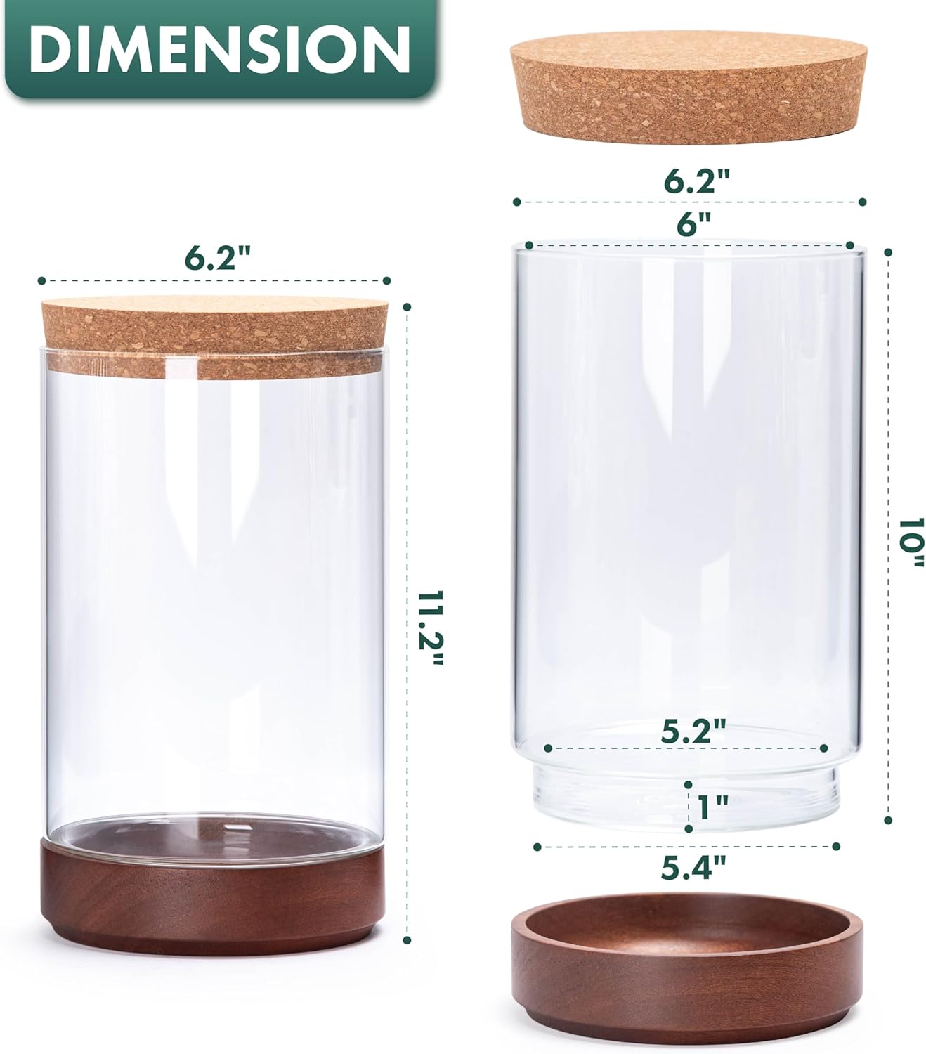 Clear Glass Houseplant Terrarium Planter, 6" W x 10" H, Cylindrical Terrarium with Wooden Base & Cork Lid | Versatile Tabletop Decoration for Home or Office or Hydroponics (Plant Not Included), 41-A-M