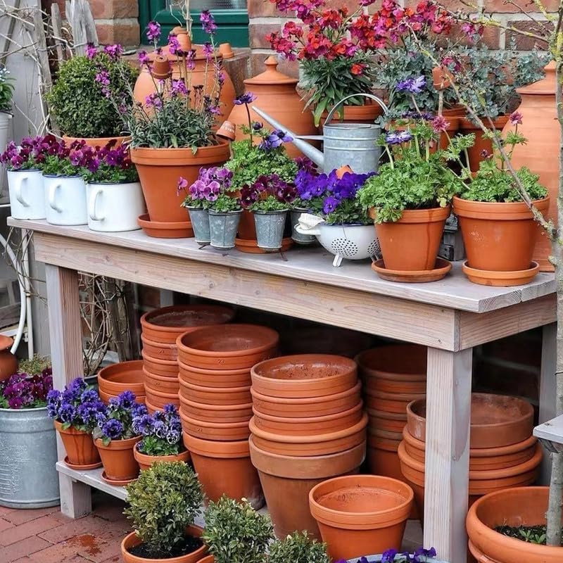 Fcacti 6.5 inch Large Terra Cotta Plant Saucers, Round Pot Drip Trays,Durable Thicker Clay Plant Tray Flower Pot Saucers for Outdoors Indoors Flower Pots and Planters,Pack of 7