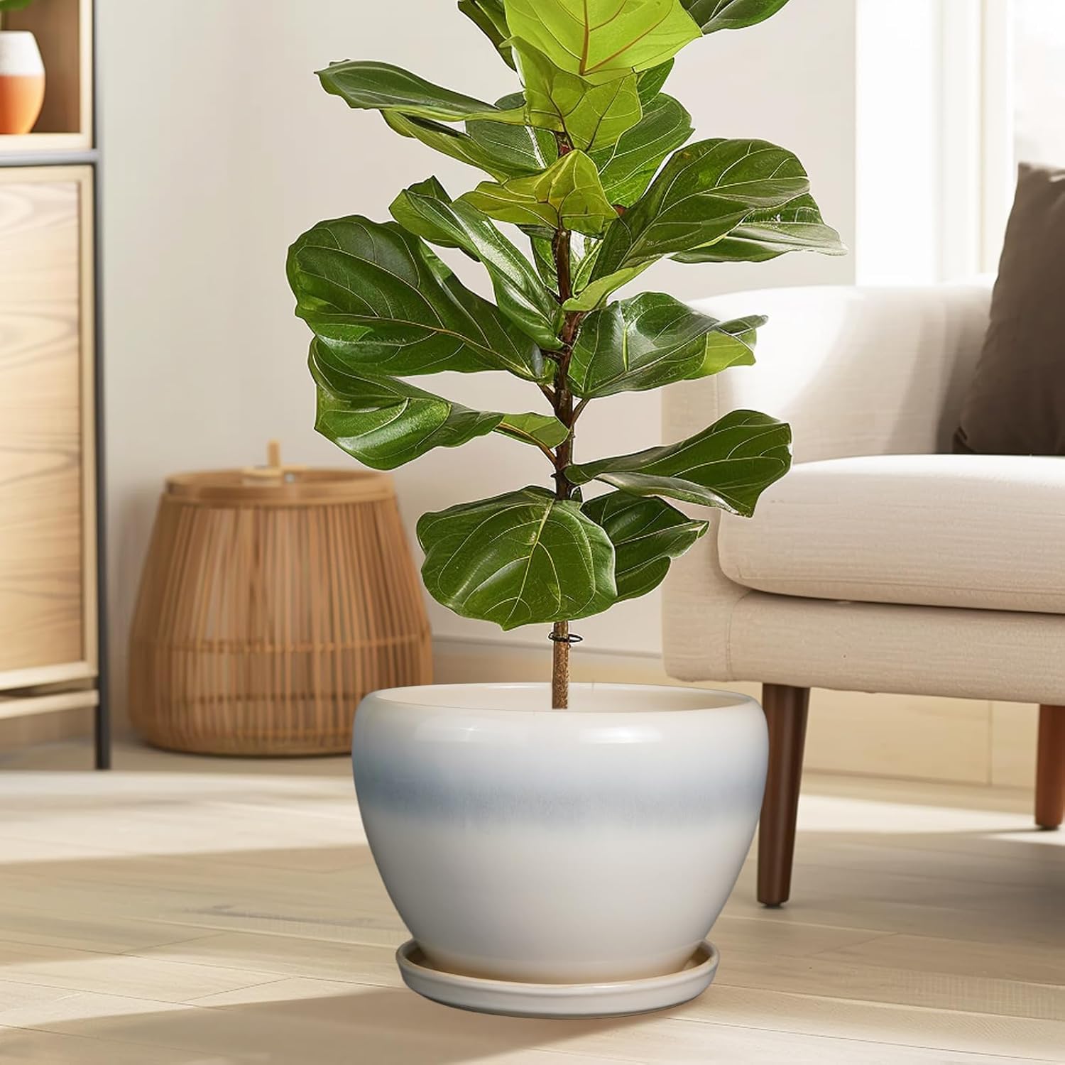 10 Inch Ceramic Planter Pot - Large Plant Pot with Drainage Hole and Saucer Round Flower Pot for Indoor Plants, White