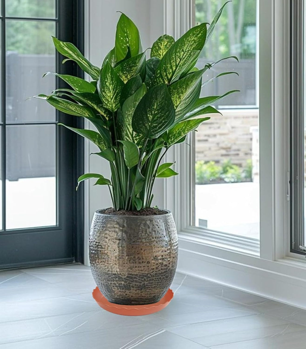 6 Pack Plant Saucer 10 inch, Heavy Duty Plastic Plant Saucers, Durable Plant Tray for Pots, Flower Saucers for Indoors, Plant Pot Saucers, Trays for Planter (Terracotta)