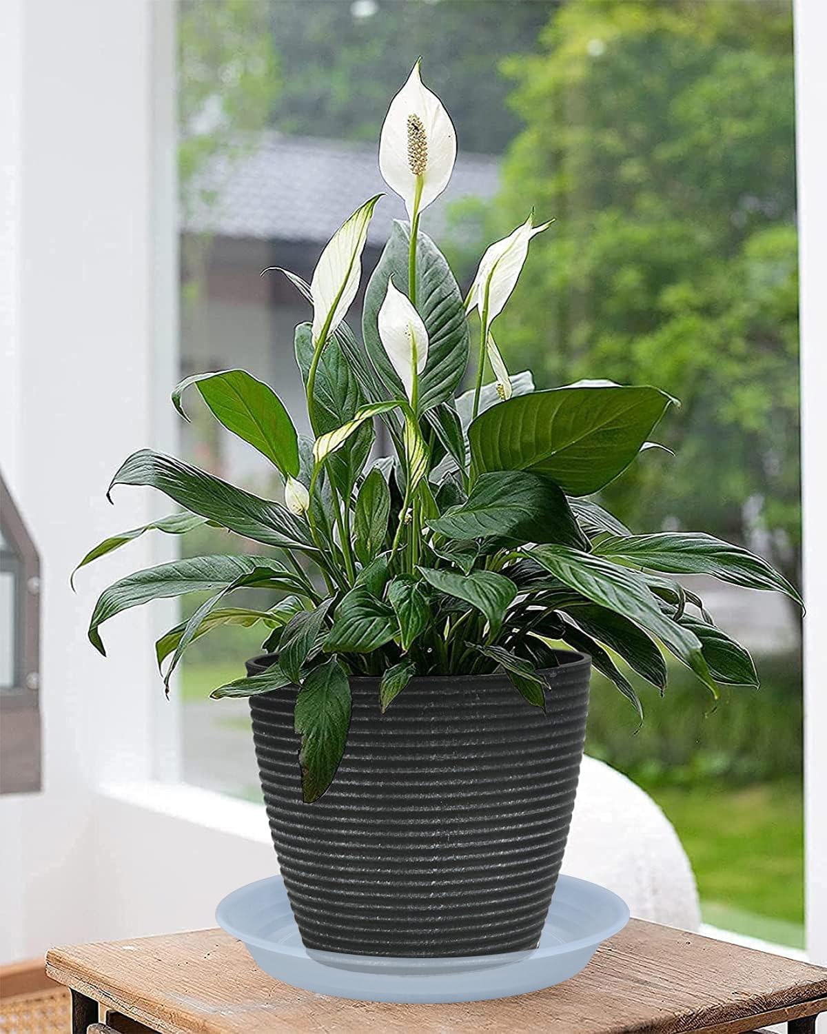 Plant Saucer 2 Pack of 8 inch, Clear Plastic Flower Planter Saucers and Drip Trays for Indoors Outdoors, Heavy Durable Plant Plate Water Catcher