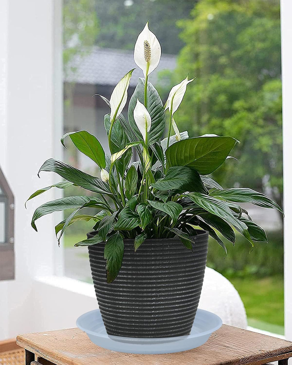 Plant Saucer Pot Tray 10 inch, 2 Packs Clear Plastic Flower Planter Saucers and Drip Trays for Indoors, Heavy Duty Plant Drip Trays Saucers, Plant Plate Water Catcher