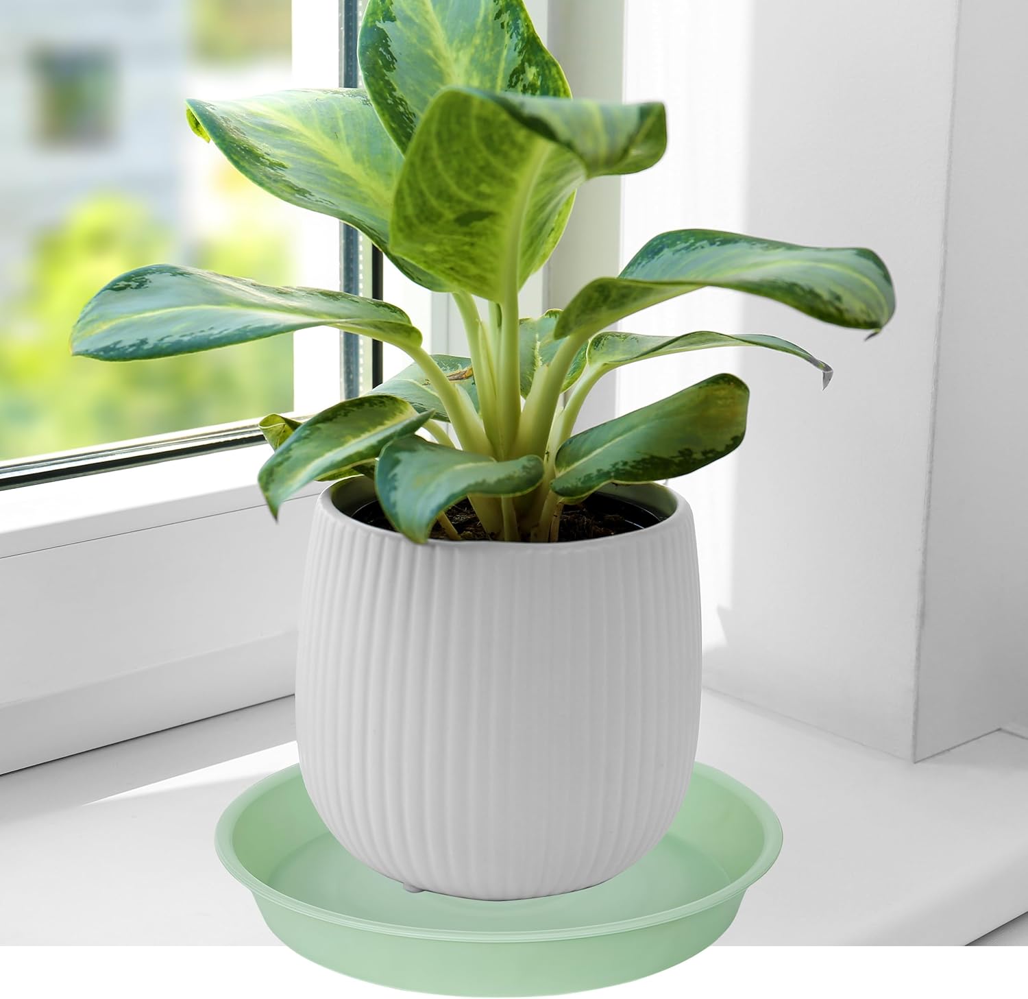 6 Pack Plastic Plant Saucer Water Drip Tray, 4 5 6 7 8 9 10 11 12 13 15 17 19 inch, Heavy Sturdy Plant Drainage Tray for Indoors Outdoor, Saucers for Pots Base (4", Light Green)