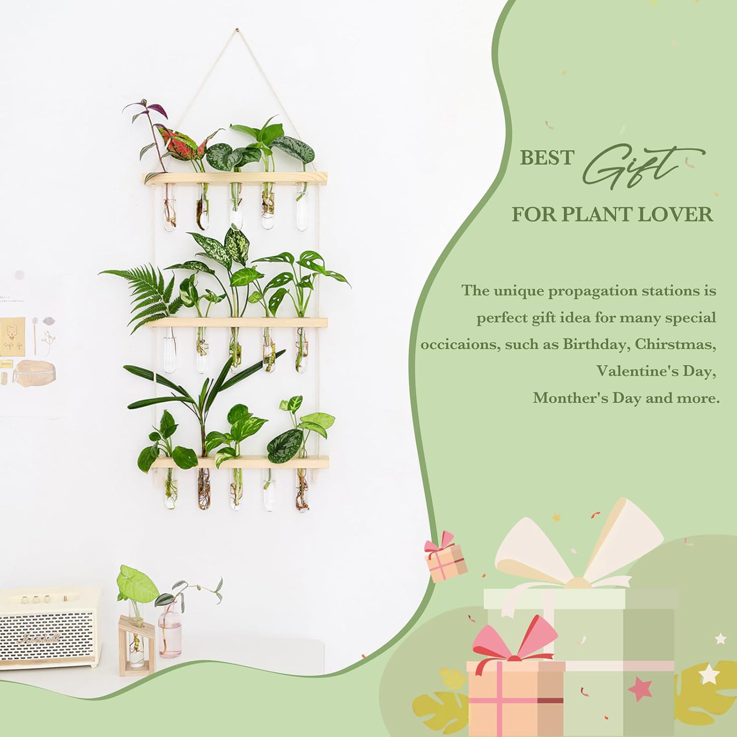 Mkono 3 Tiered Wall Hanging Plant Terrarium with Wooden Stand, Glass Planter for Hydroponic Plant Cutting, Home Garden Office Decor, Gift