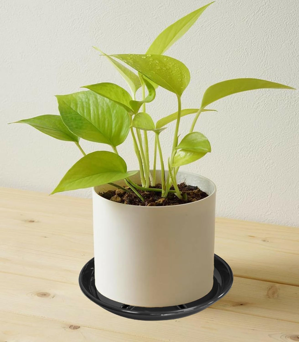6 Pack of Plant Saucer 6 inch, Heavy Duty Plastic Flower Pot Saucers, Plant Drip Trays for Indoors Outdoor, Plant Water Tray for Planters, Black