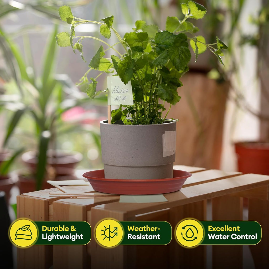 6 Pack Plant Saucer, 8 10 12 inch Plant Saucers for Indoor, Heavy Duty Plastic Plant Trays for pots, Grow Bags, Bird Baths, Flower Drip Trays for Indoor and Outdoor Uses (8", Brown)