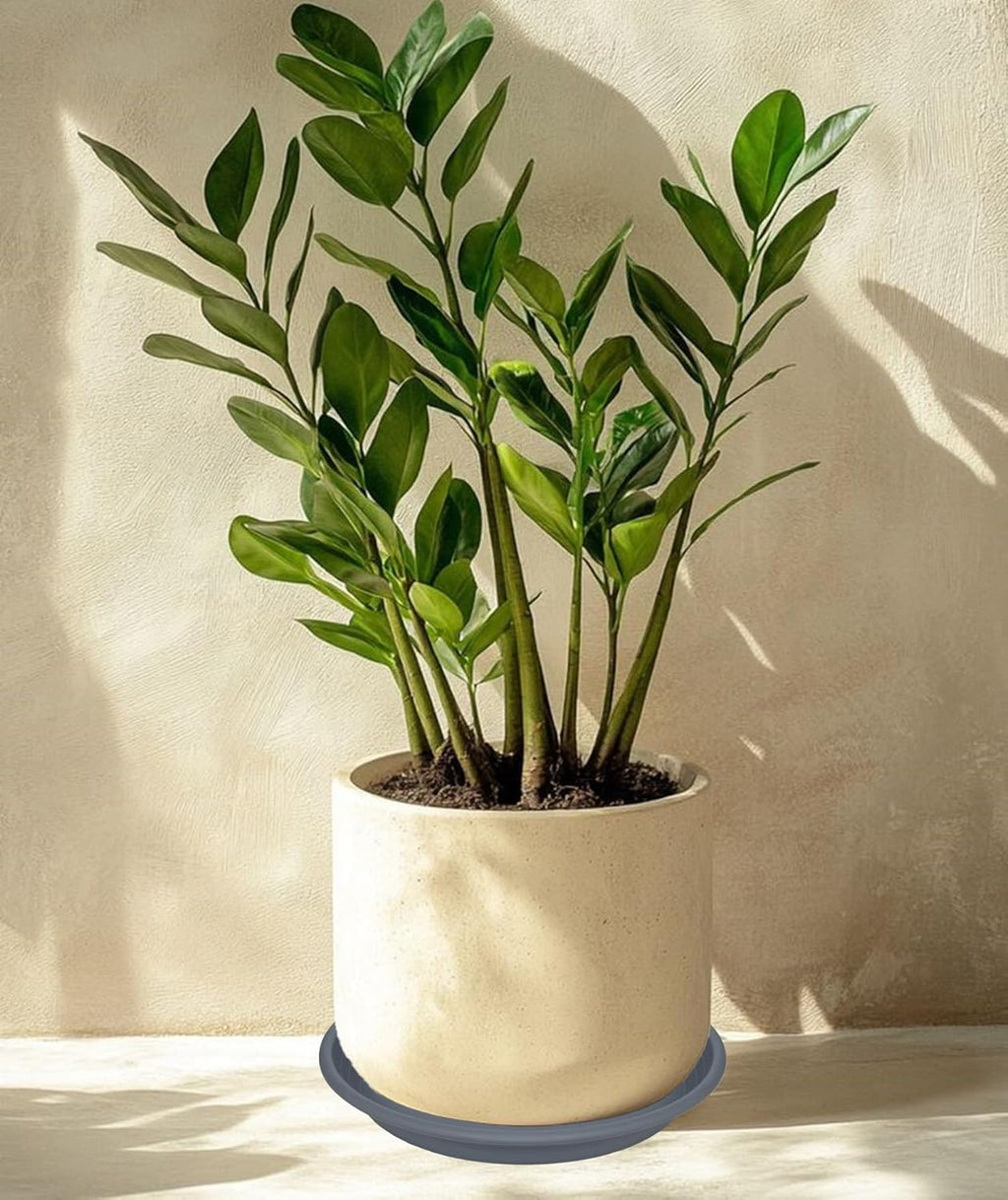 2 Pack of 19 inch Plant Saucer, Large Plant Tray, Heavy Sturdy Plant Drainage Tray for Indoors, Bird Bath Bowls, Sturdy 18 inch Plastic Pot Tray for Planter (Gray)