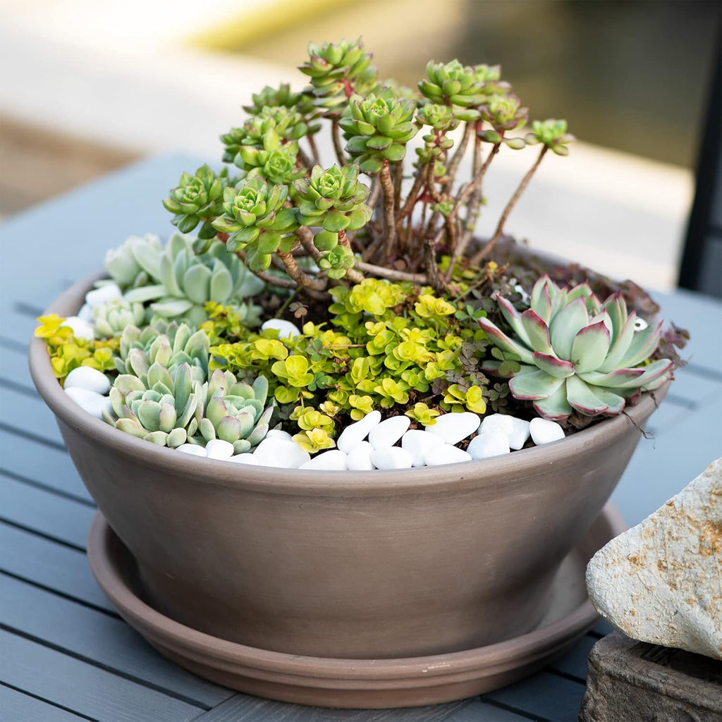 11lbs White Natural River Rocks, Polished Pebbles for Plants Garden, 0.3-0.8 inch Decorative White Stones, Ideal for Fish Tank, Vases, Crafting, Home Decor and Garden Landscaping Rocks,White