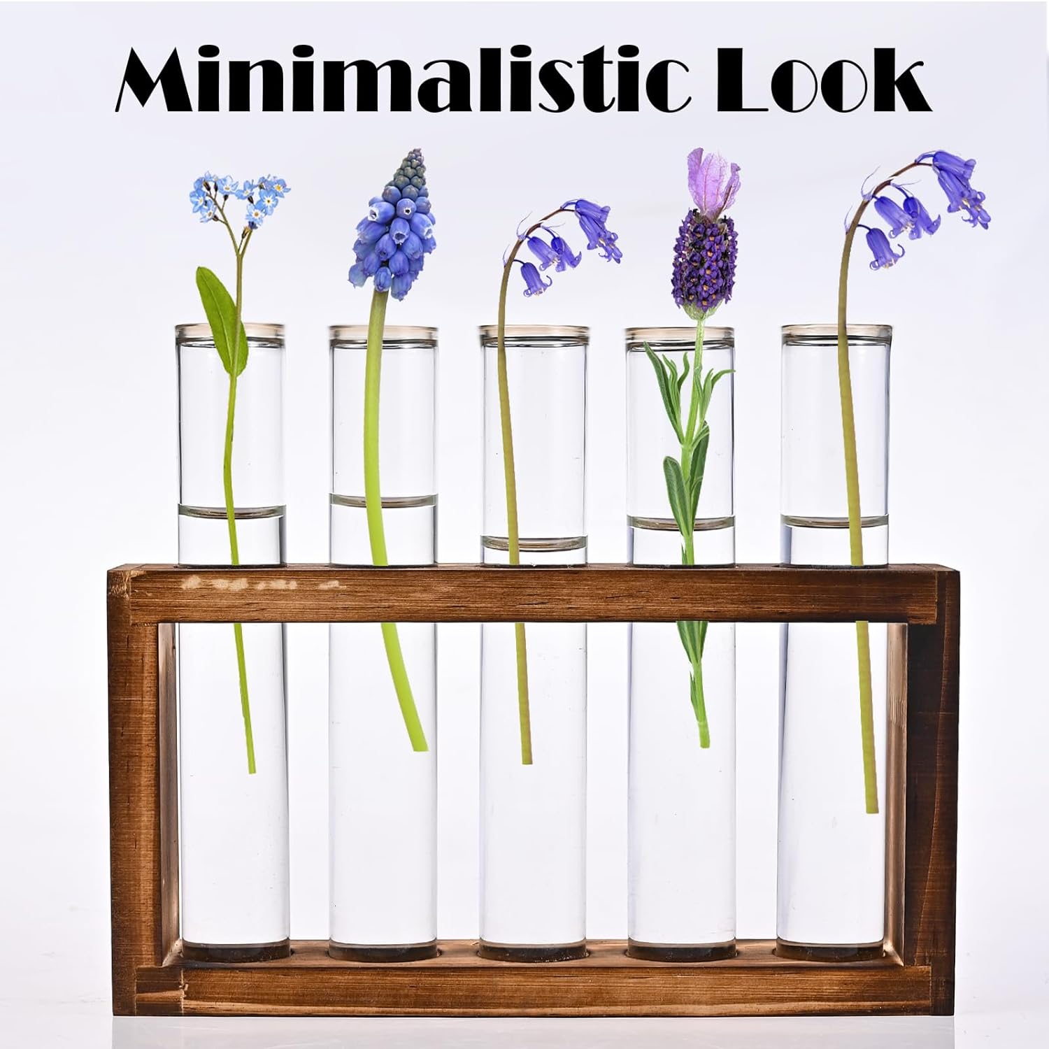 Desktop Glass Plant Propagation Station with 5 Test Tubes in Wooden Stand - Hydroponic Plants Cutting Office Home Decoration and Garden Decor Terrarium (5 Tubes)