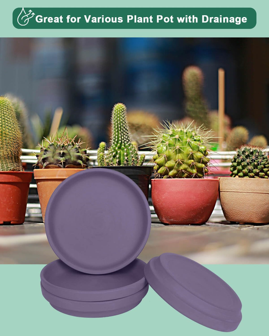 vensovo 8 Inch Purple Terracotta Plant Saucer Pots Tray - 4 Pcs Round Planter Saucers for Indoor & Outdoor Plants, Large Clay Trays Perfect for 7 Inch 7.5 Inch 8 Inch Flower Pot