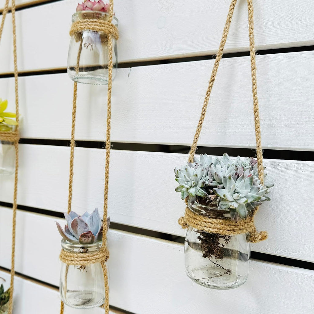 3pcs Glass Flower Vase for Hydroponic Planter Terrarium，Wall Hanging Propagation Station for Plant Cutting Home Office Living Room Garden Decor (Round)