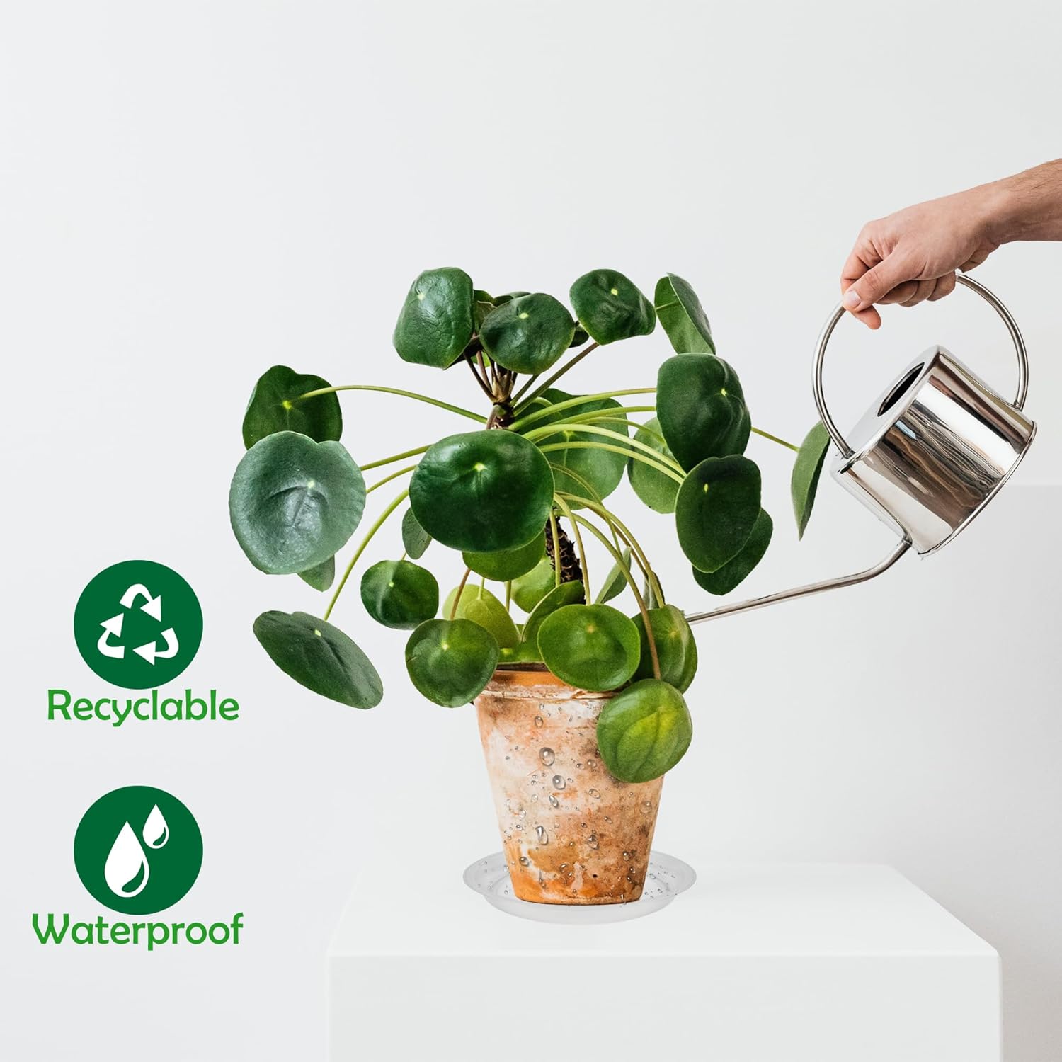 6 Pack 6 Inch Round Plant Saucers for Less 5 Inch Pot Indoors Outdoors Plant Trays for Pots Planter Saucer Plastic Plant Drip Tray Flower Planter Water Tray for Potted Plant(Clear, 6"(6pcs))