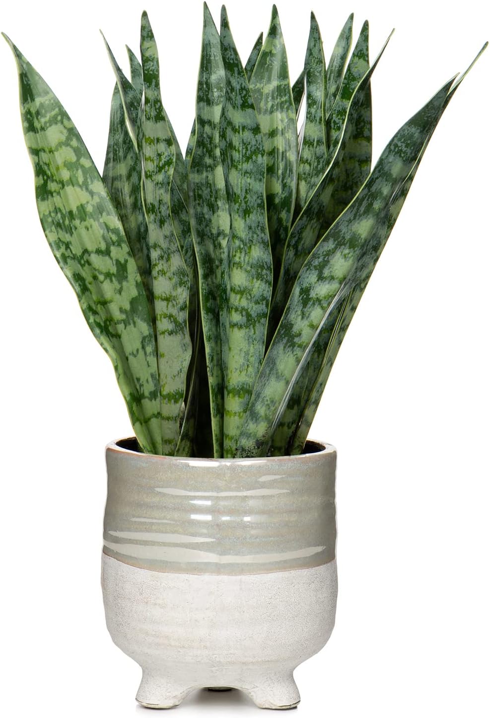Hollyone Fake Snake Plant 12 Inch Small Artificial Snake Plant Potted with Ceramic Pot Faux Sansevieria Plant for Home Office Room Indoor Decor Housewarming Gifts
